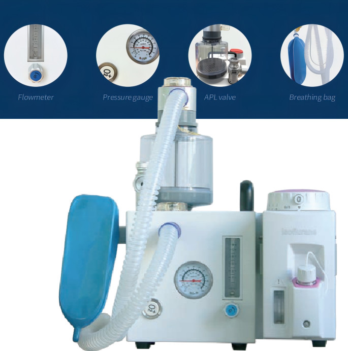 DM6D Veterinary Anesthesia Ventilator Small Animal Anesthesia System